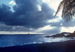 Runing 'fore the Storm